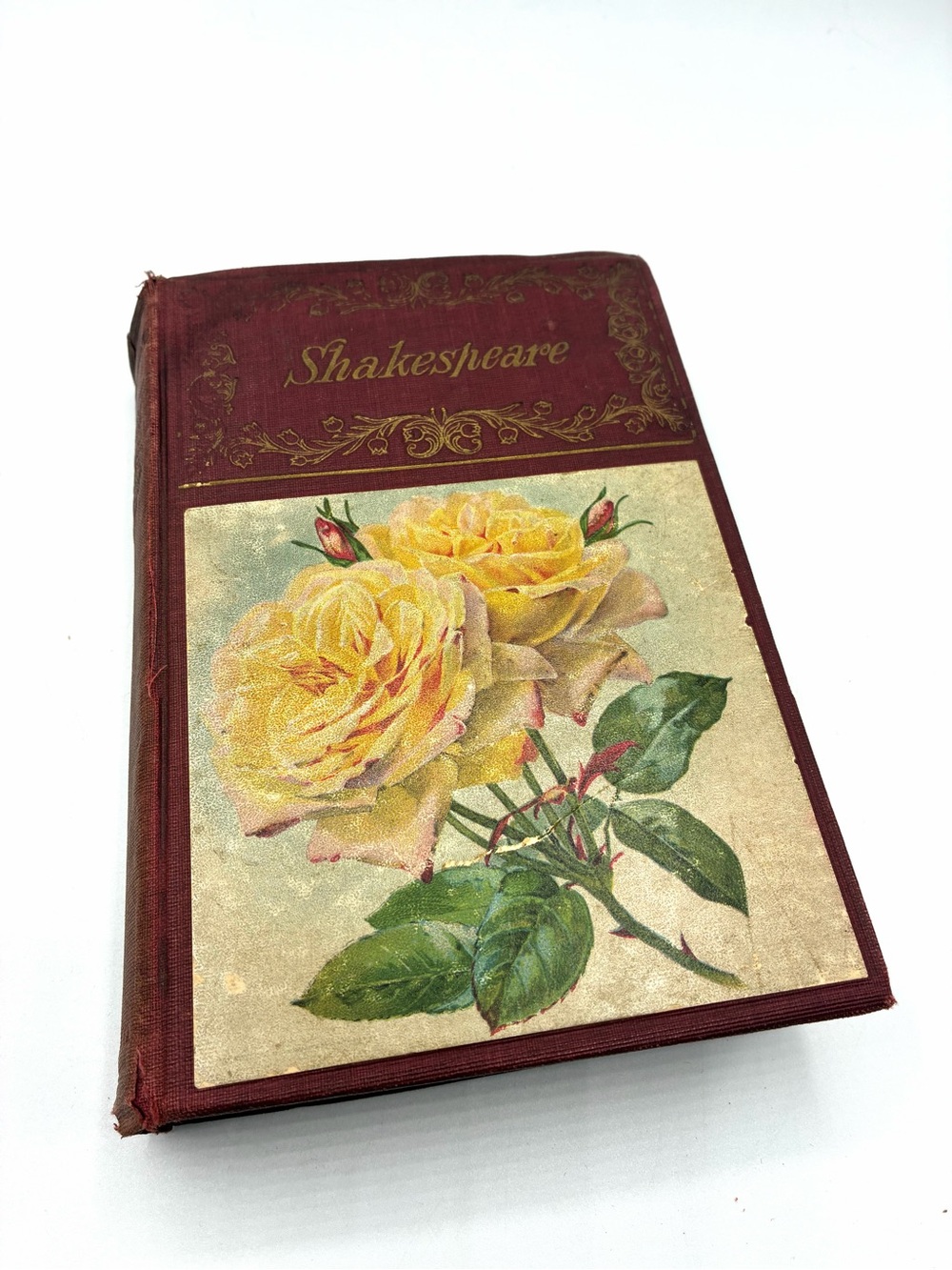 Antique Complete Works William Shakespeare Hurst & Co Rose Cover Early 1900s